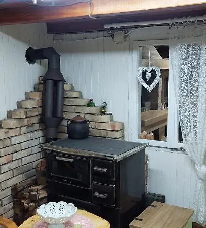 Ribarev San *