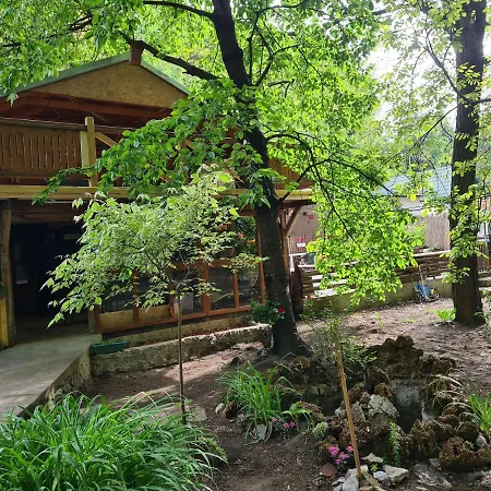 Ribarev San Ovcar Banja