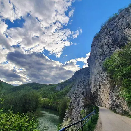 Ribarev San 펜션 오브차르 바냐