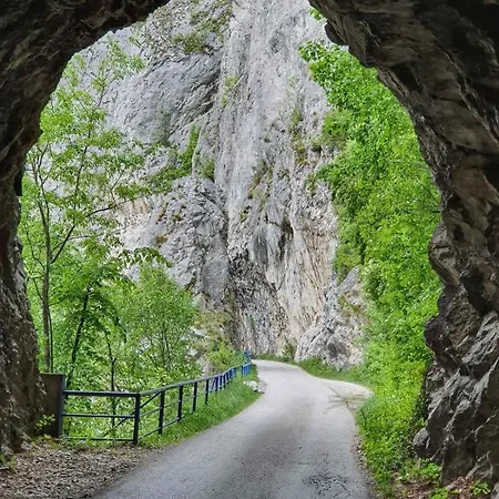 Ribarev San