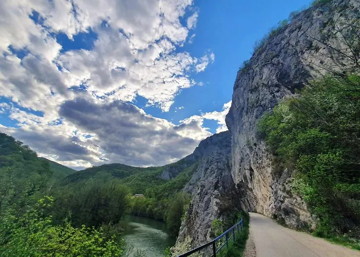 Ribarev San 펜션 오브차르 바냐