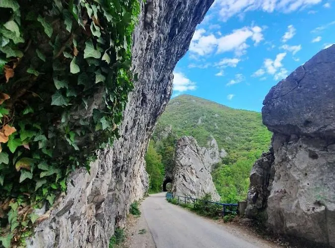 펜션 Ribarev San *